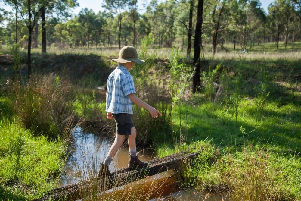 Image of Boy walking across homemade bridge over creek in paddock ...