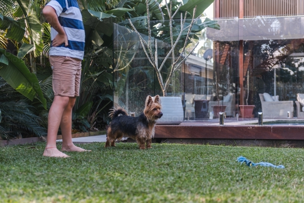 boy with his dog in back yard - Australian Stock Image