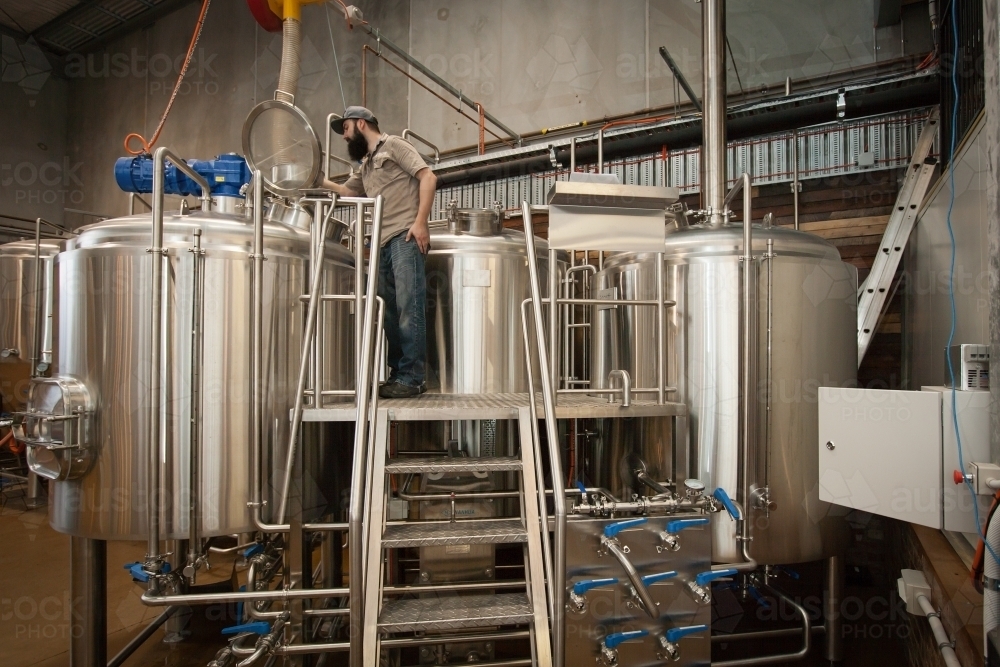 Brewer supervising mashing process at a microbrewery - Australian Stock Image