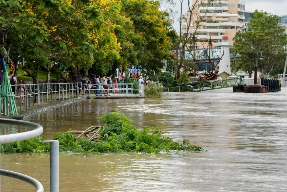 Brisbane River in flood with people on footpath - Australian Stock Image