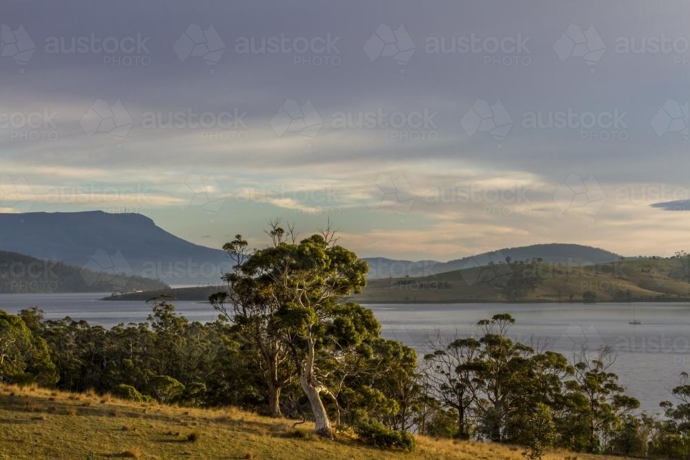 Bruny Island Landscape - Australian Stock Image