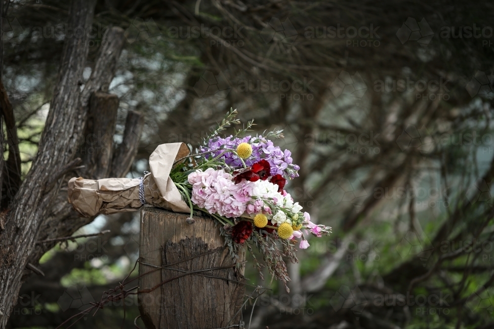 Bunch of cottage cut flowers in rustic country setting - Australian Stock Image