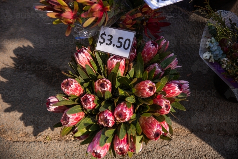 bunches of proteas for sale at the markets - Australian Stock Image