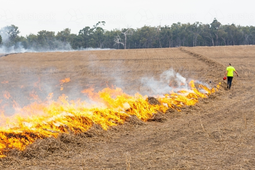 Burning windrows in a dry paddock - Australian Stock Image