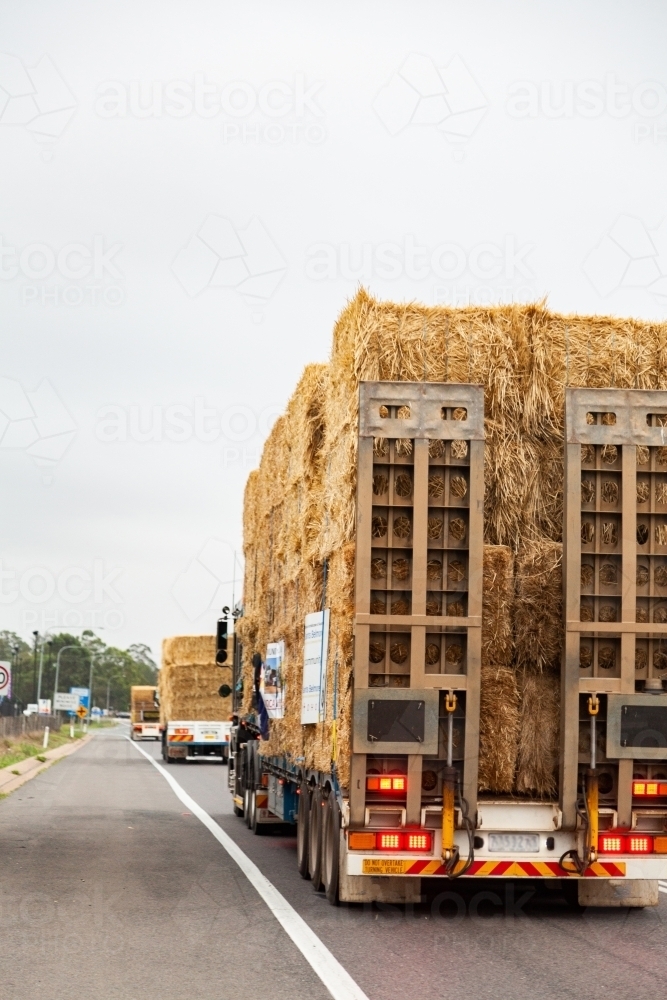 Burrumbuttock Hay Runners going through Singleton on their way to help farmers - Australian Stock Image