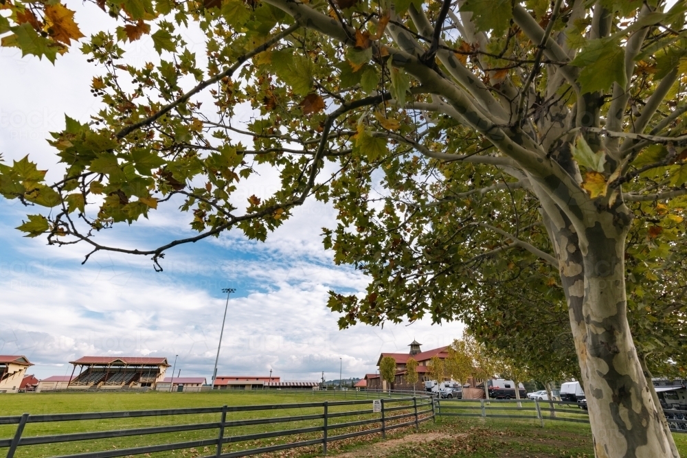 Caravan and camping holiday accommodation at Armidale Showgrounds - Australian Stock Image