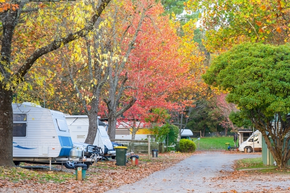 Caravans lining a road with coloured Autumn trees and leaves covering the ground - Australian Stock Image