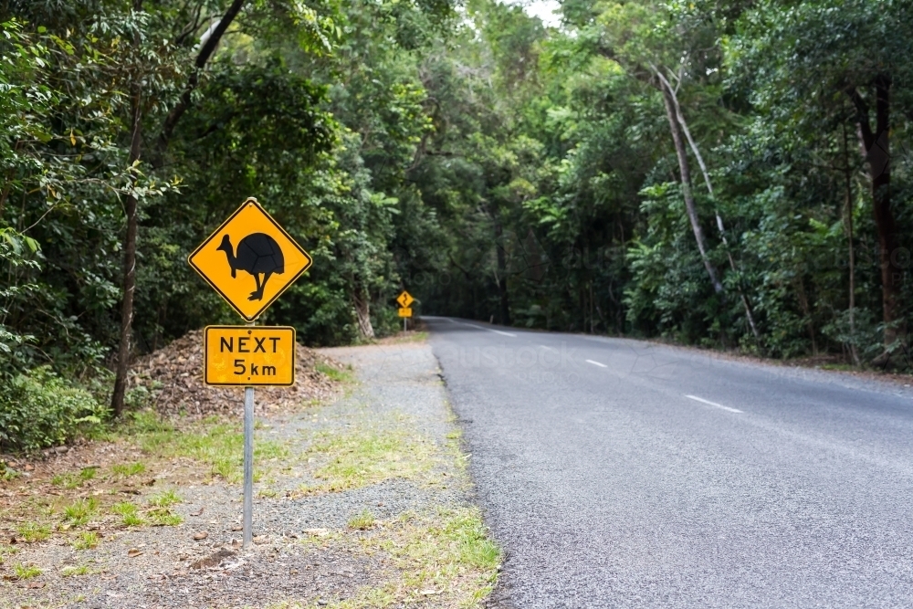 Cassowary crossing sign in the Daintree Rainforest - Australian Stock Image