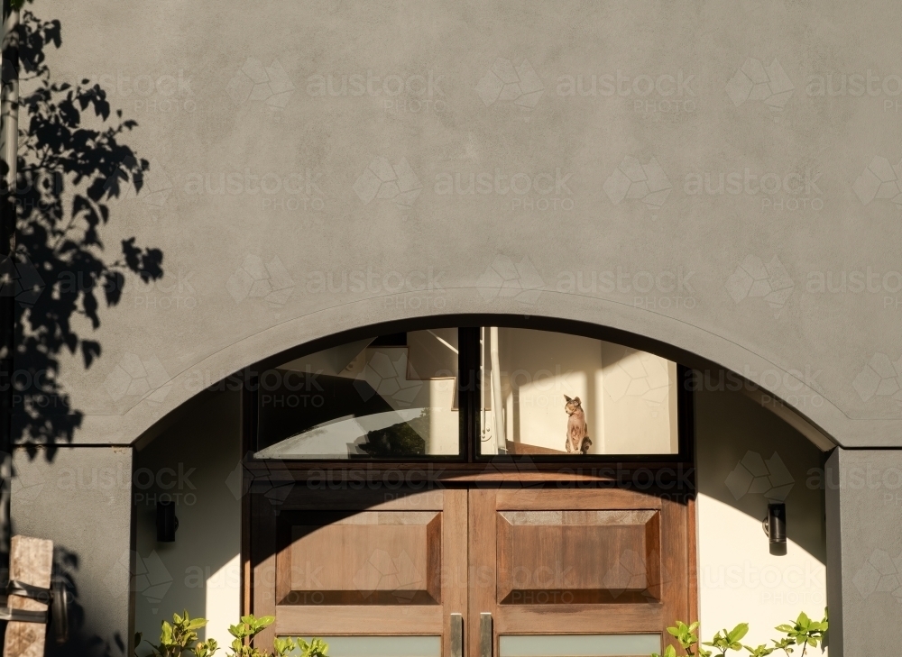 Cat in window looking out at street from stairwell - Australian Stock Image