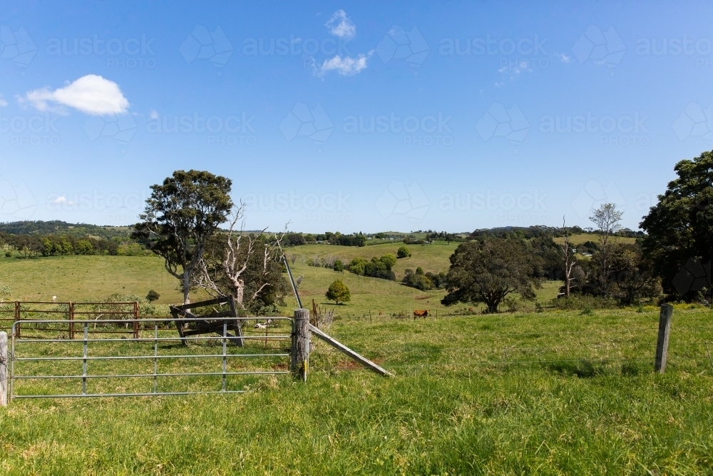 cattle farm paddocks in South East Queensland - Australian Stock Image