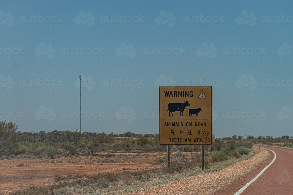 Cattle on Road sign - Australian Stock Image