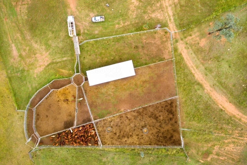 Cattle yards viewed from above - Australian Stock Image