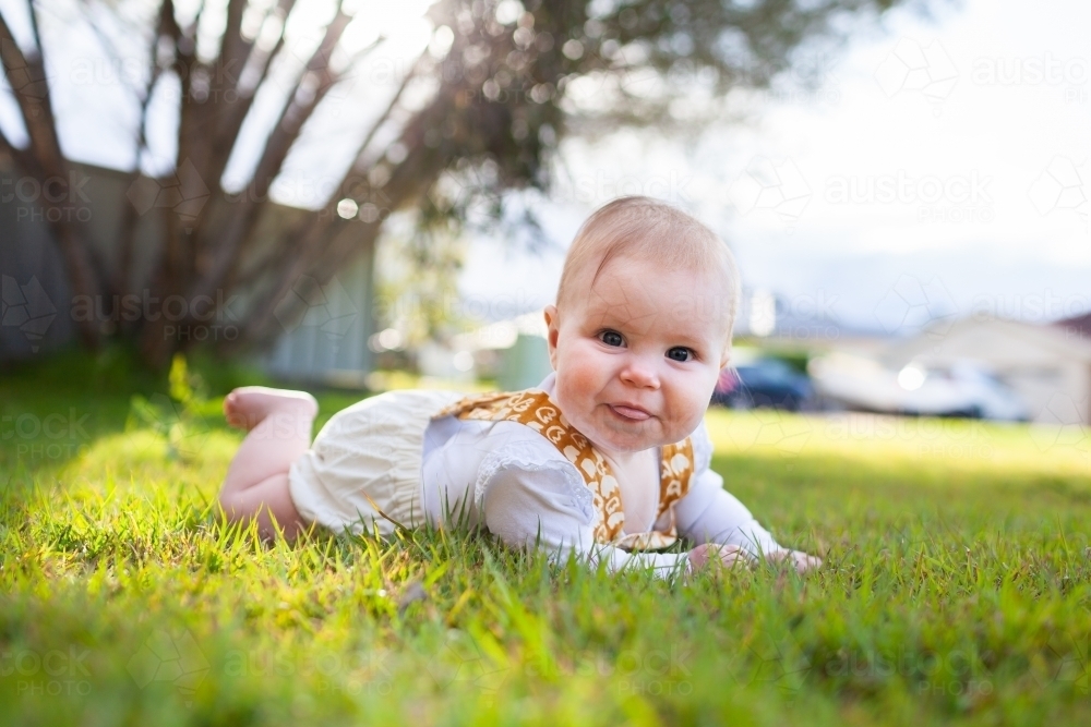 Cheeky baby girl with tongue poking out lying on green spring grass on front lawn - Australian Stock Image
