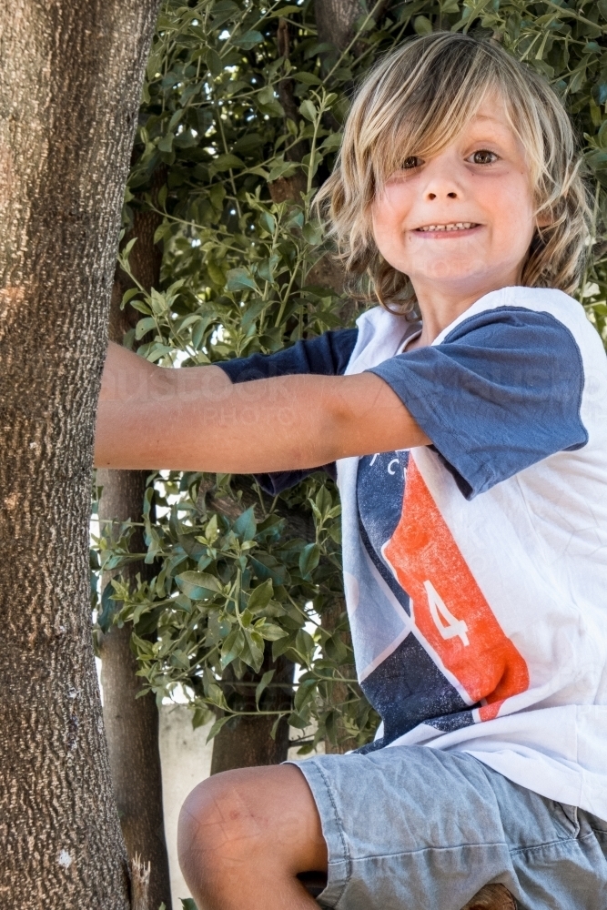 Cheeky grin from little boy up a tree. - Australian Stock Image