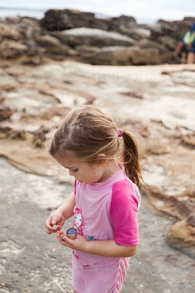 Child at the beach holding out pretty shells found in rock pools - Australian Stock Image