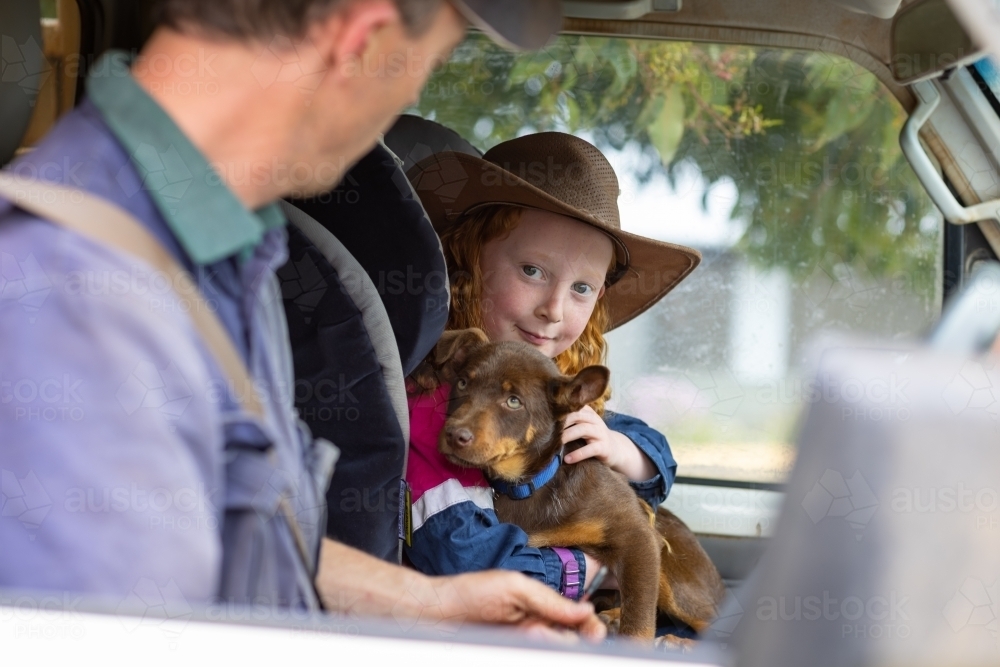 child holding puppy in ute with her father blurred in foreground - Australian Stock Image