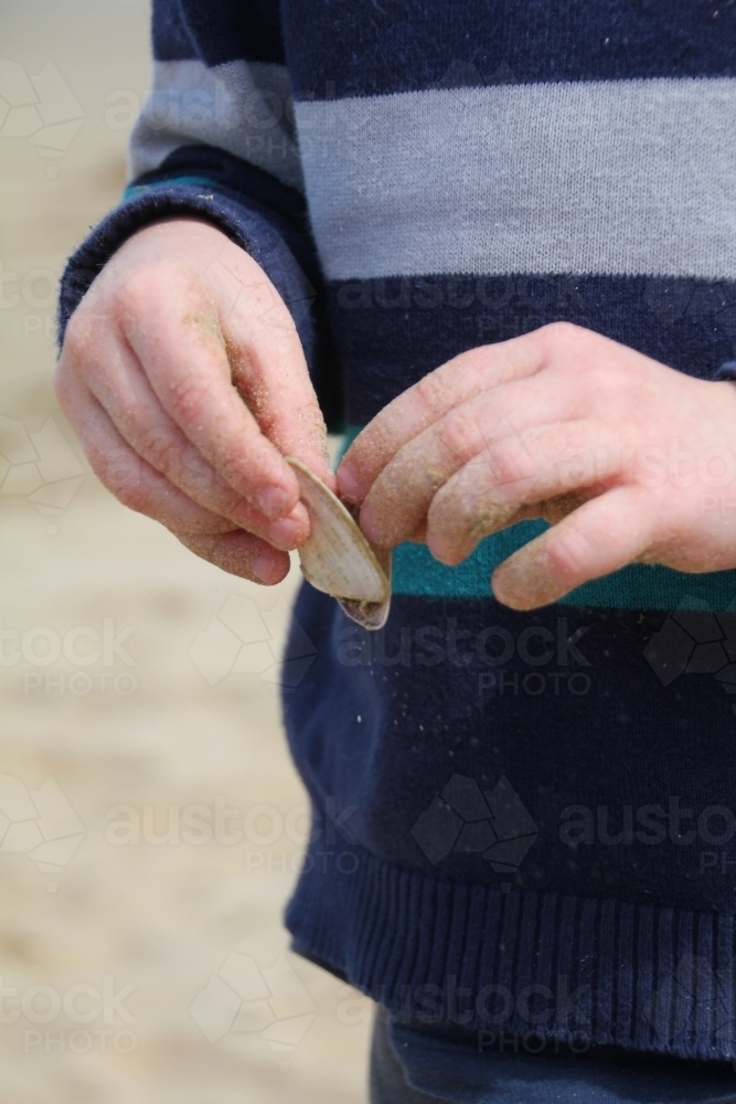 Child opening shell on beach - Australian Stock Image