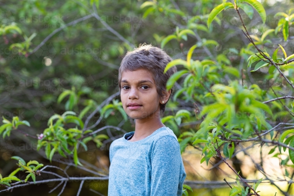 child standing in old orchard of fruit trees with green leaves - Australian Stock Image