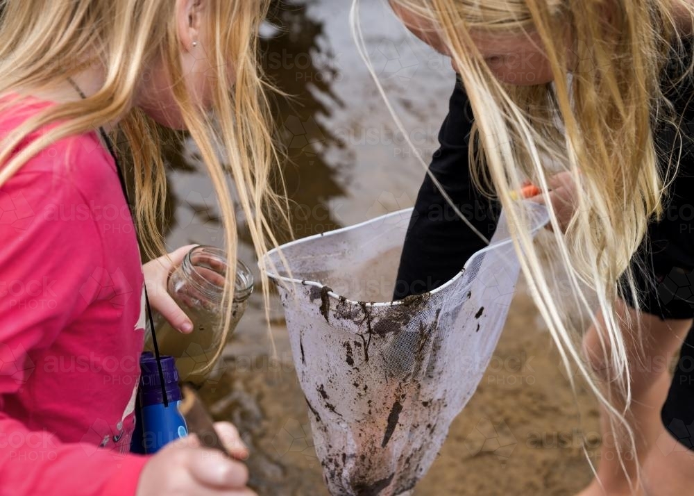 Children catching Tadpoles - Australian Stock Image