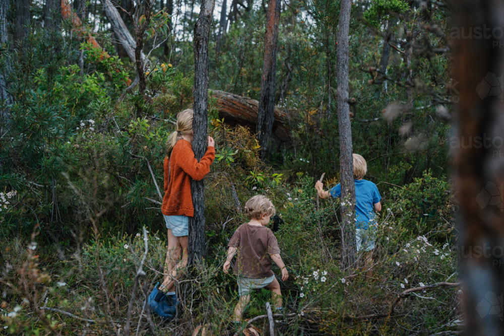 Children exploring Australian Bushland - Australian Stock Image