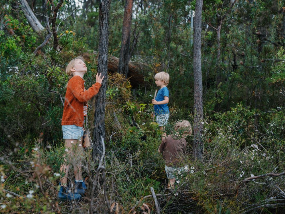 Children exploring Australian Bushland - Australian Stock Image