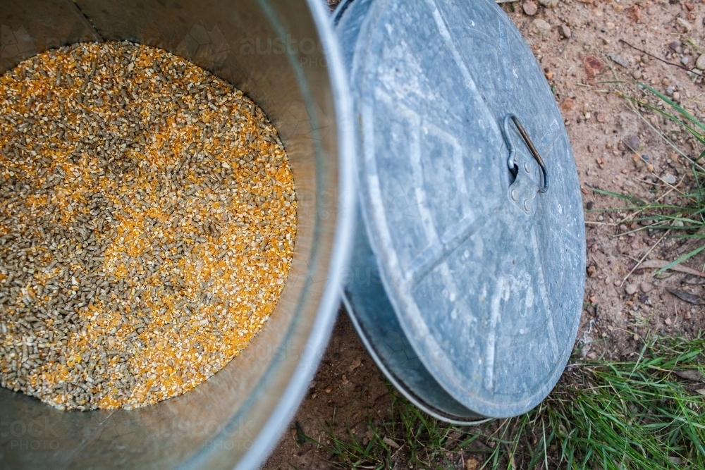 Chook food mix of pellets and corn in feed bin - Australian Stock Image