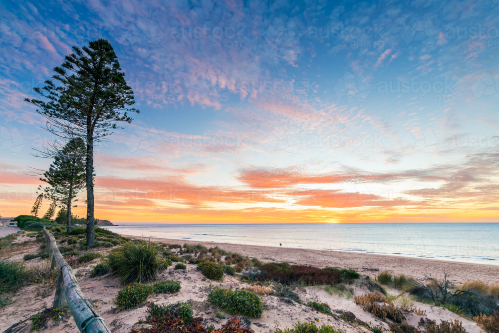 Christies beach with silhouette of a surfer with surfing board at sunset, South Australia - Australian Stock Image