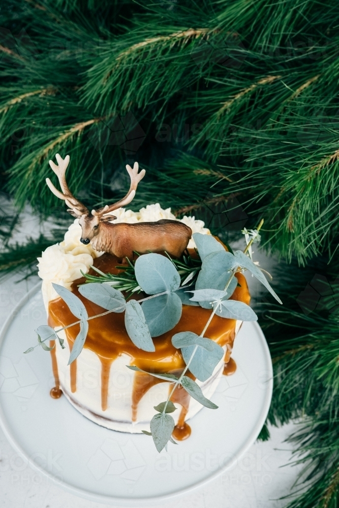 Christmas cake with gum leaves - Australian Stock Image