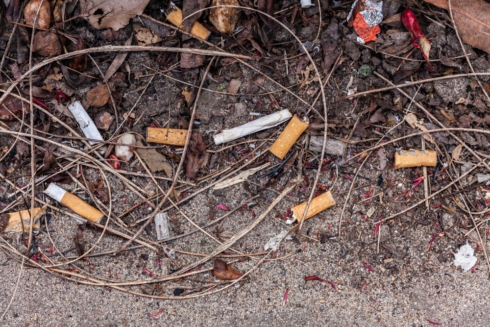 cigarette butts and litter with dirt on side of street - Australian Stock Image