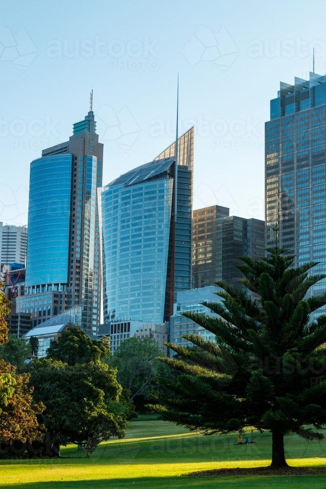 city skyline from botanic gardens - Australian Stock Image