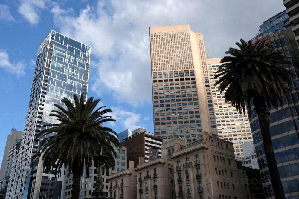 City skyscrapers and palm trees - Australian Stock Image