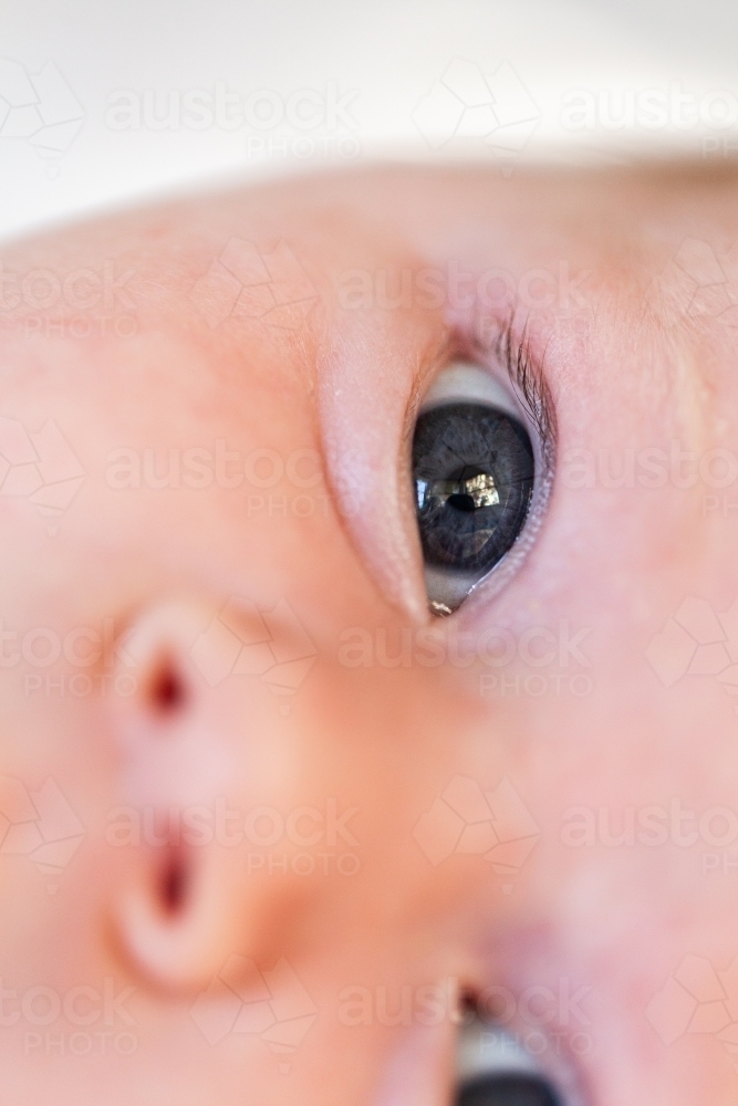 Close up detail of blue baby eye - Australian Stock Image