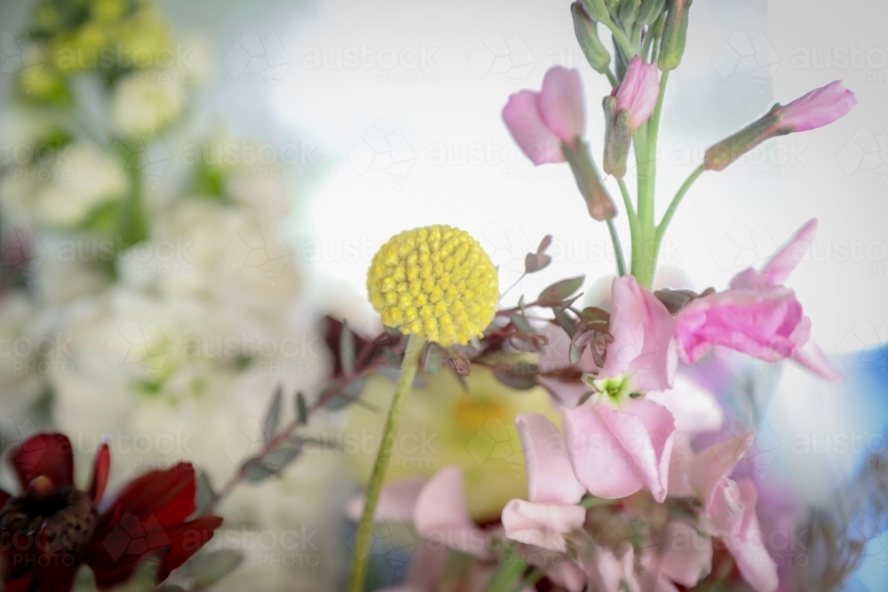 Close up image of a bunch of fresh cut cottage flowers - Australian Stock Image
