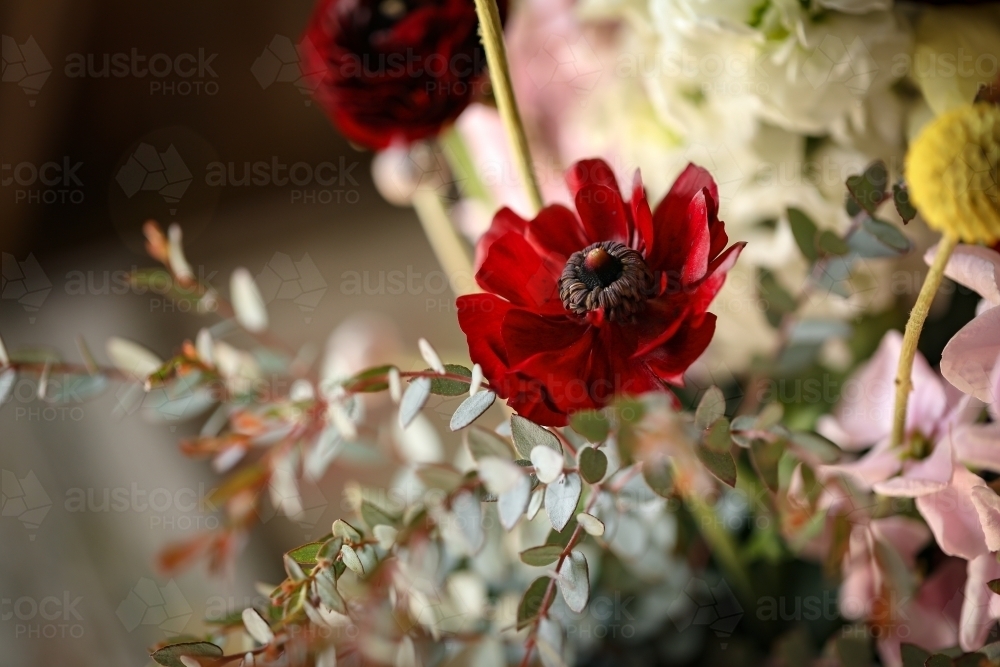 Close up image of a bunch of fresh cut cottage flowers - Australian Stock Image