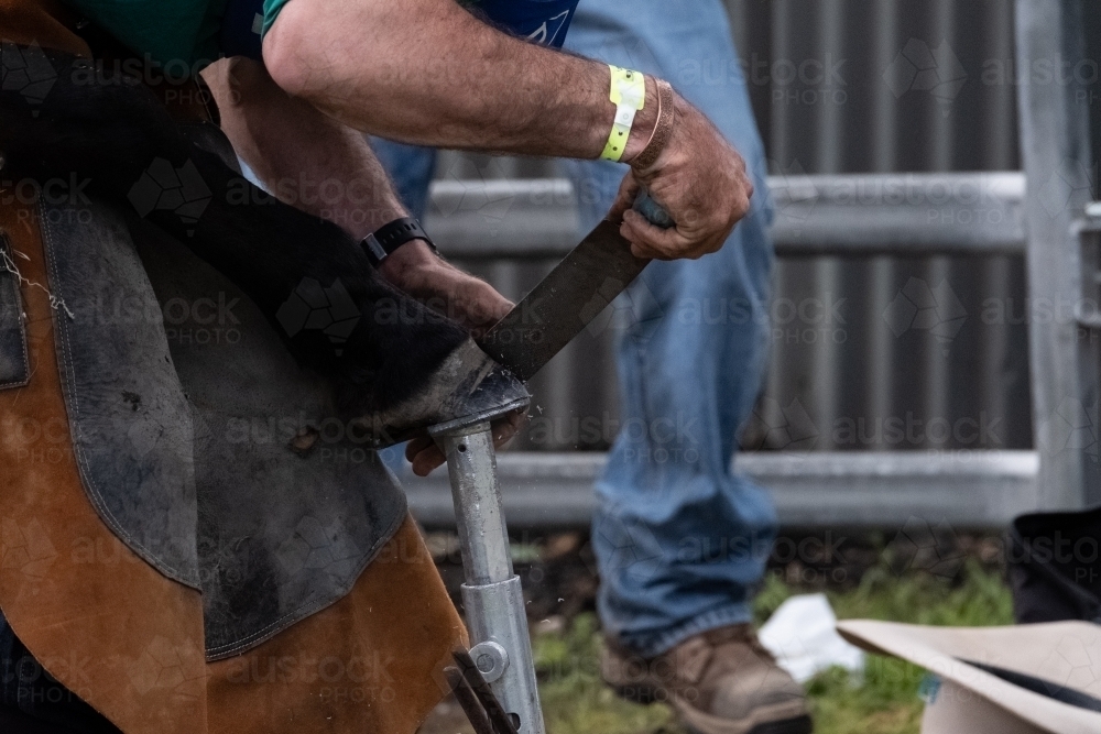 Close up of a man shoeing a horse with a file - Australian Stock Image