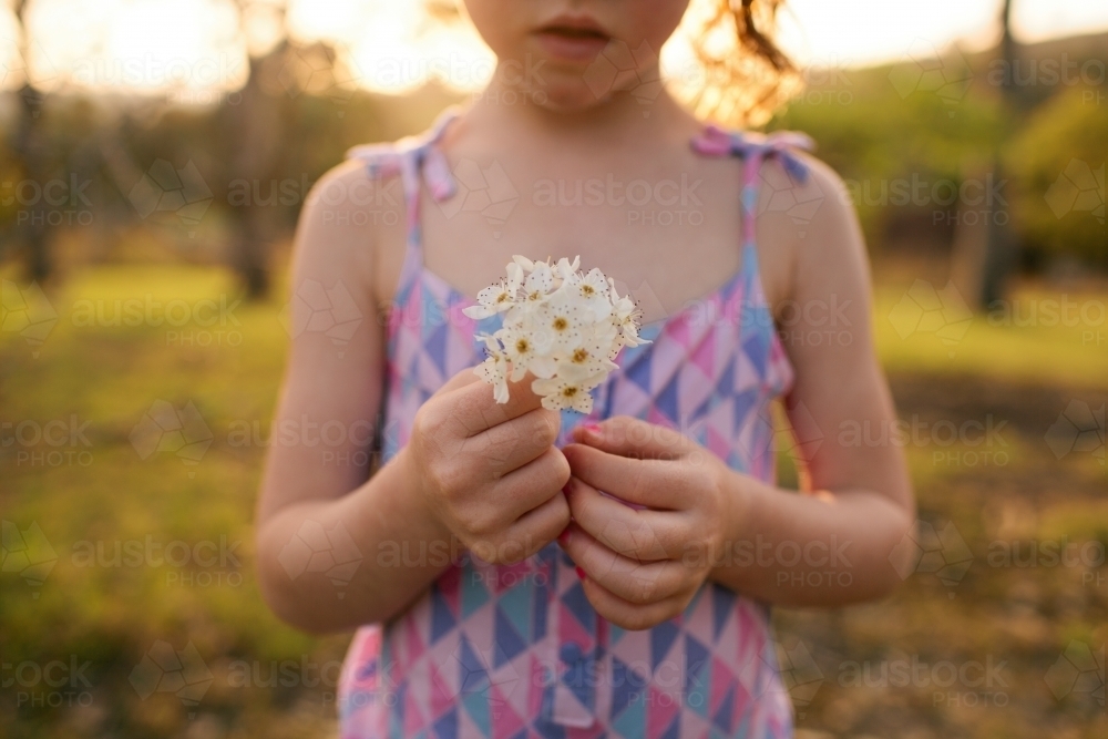 Close up of a young girl holding white flowers - Australian Stock Image