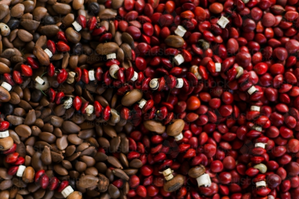 Close-up of clourful and vibrant wooden beads. - Australian Stock Image