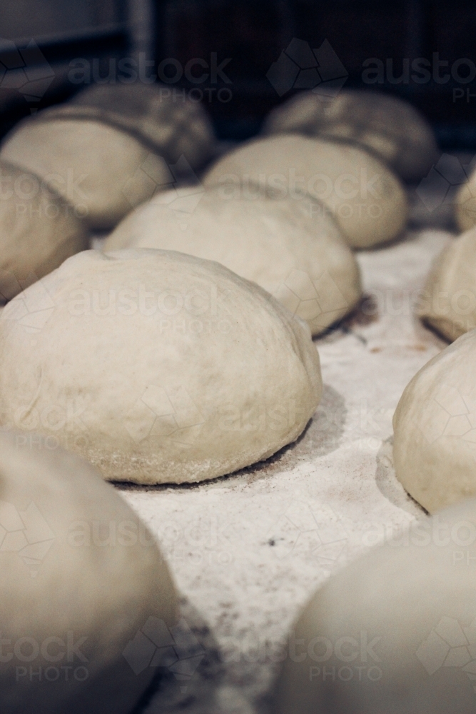 Close up of organic white sourdough pizza bases resting after being shaped - Australian Stock Image