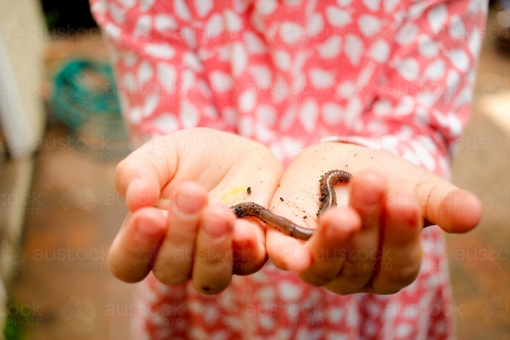 Close up shot of a girl holding a brown worm with both hands - Australian Stock Image