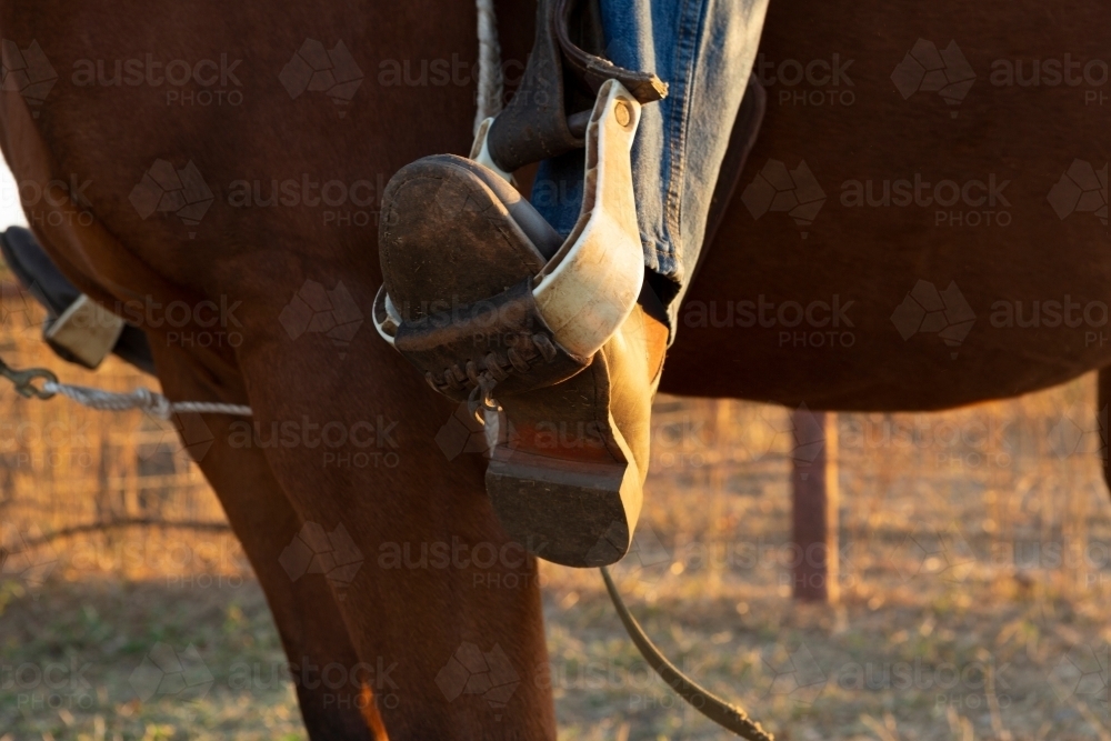 Close up shot of a horse rider's foot in a stirrup - Australian Stock Image