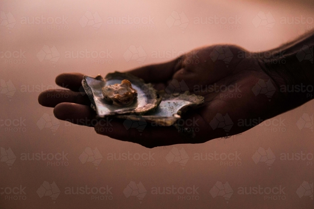 Close up shot of a person holding a shell fish on his palm with a light brown background - Australian Stock Image