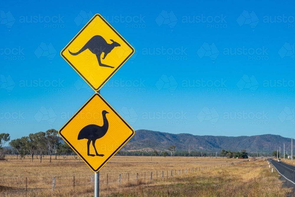 Close up shot of a yellow kangaroo and emu signage on a road side - Australian Stock Image