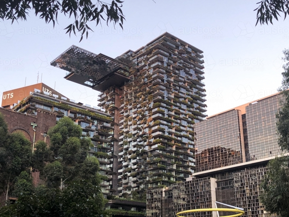 close up shot of high rise buildings with vines - Australian Stock Image