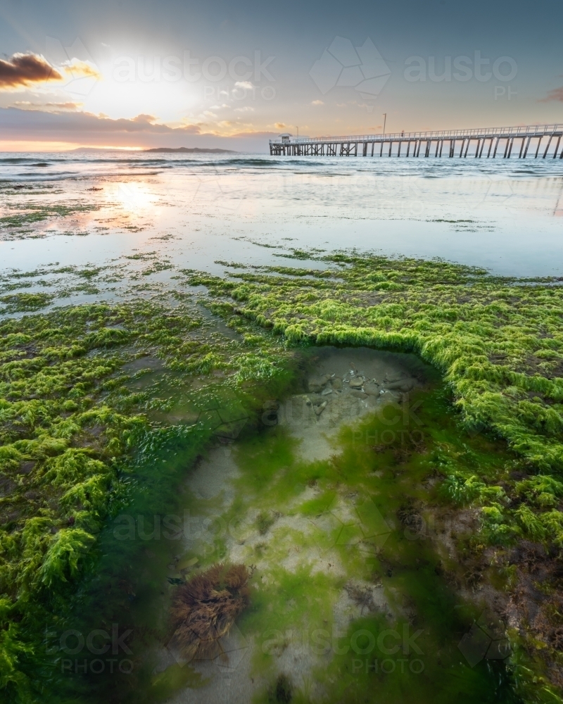 Close up shot of rock formation with moss during sunrise - Australian Stock Image