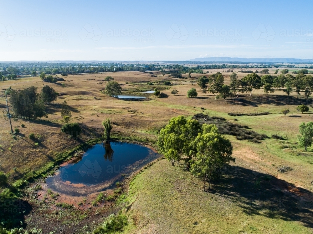 clump of trees in paddock beside dam - Australian Stock Image