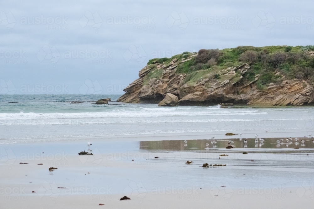 Coastal Headland. - Australian Stock Image