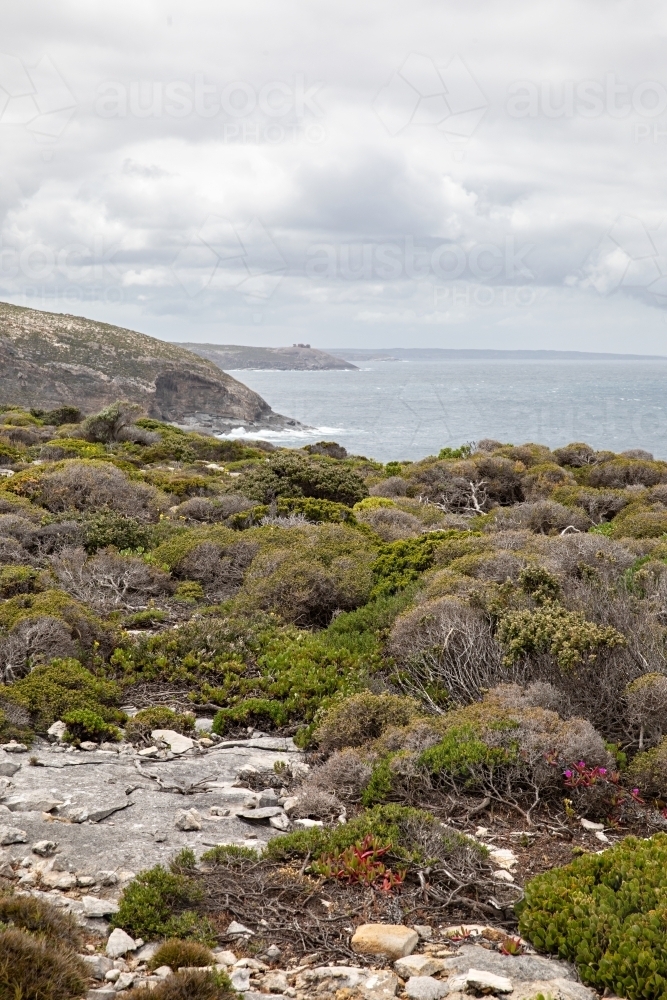 Coastal landscape with rocky terrain surrounded by dense shrubbery - Australian Stock Image