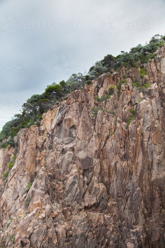 Coastal rock cliff face with trees on top - Australian Stock Image