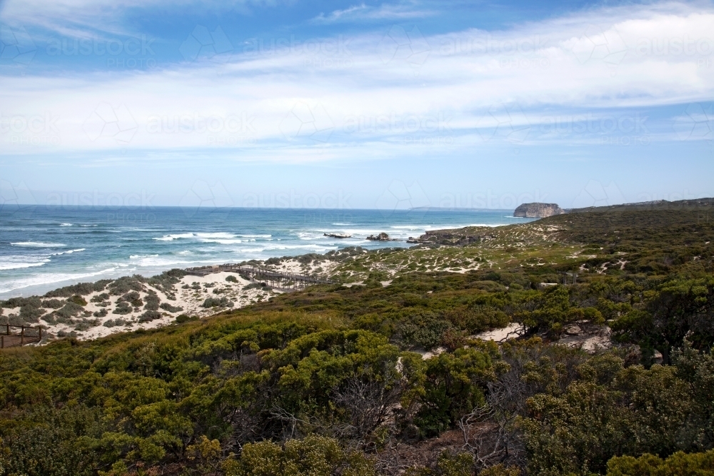 Coastline with trees in foreground - Australian Stock Image