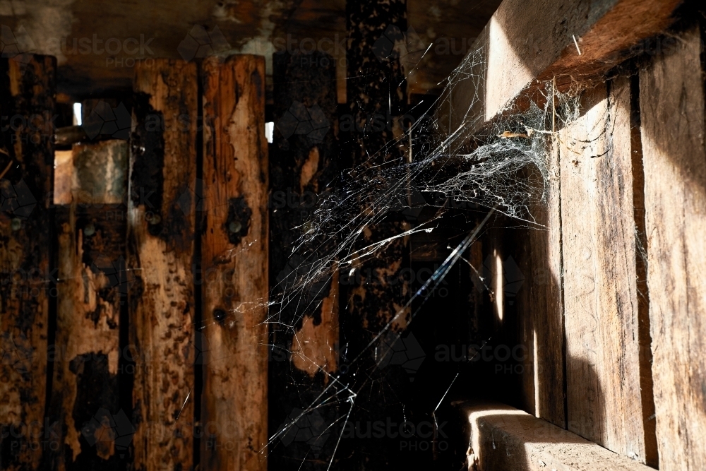 Cobweb in a Farm Shed - Australian Stock Image